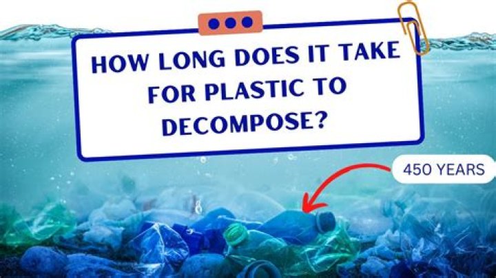 Does poop decompose in sand?