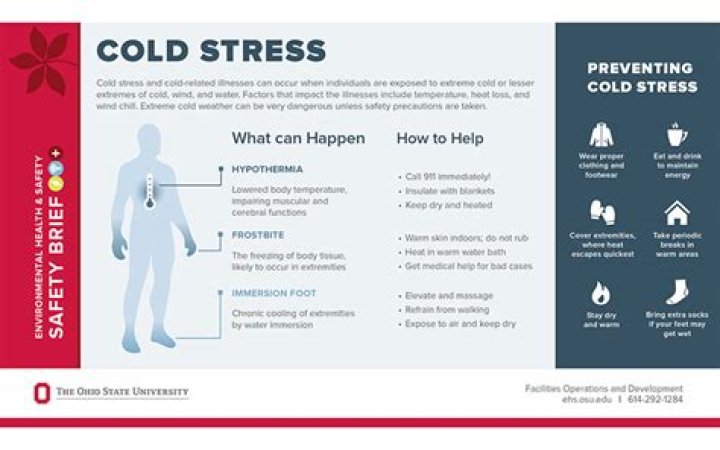 Does stress make you cold?