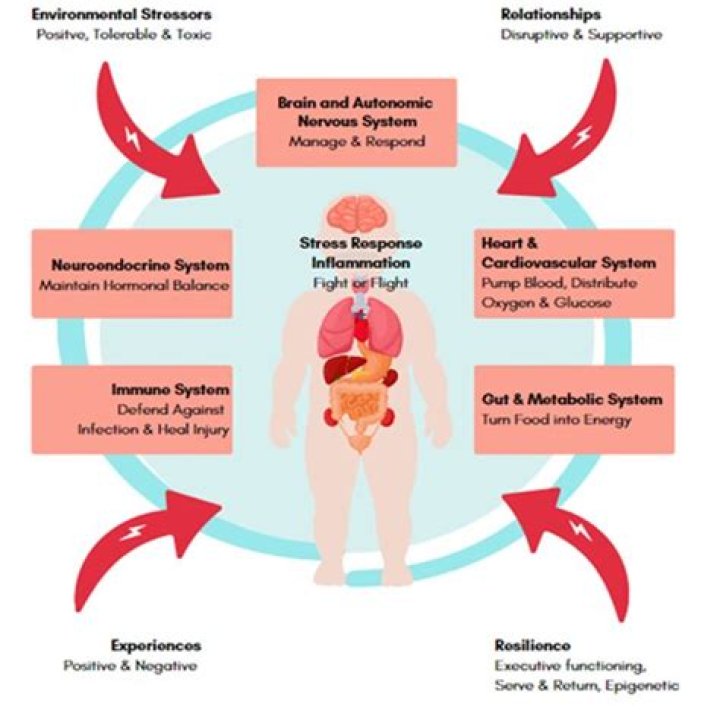 Does stress raise blood sugar?