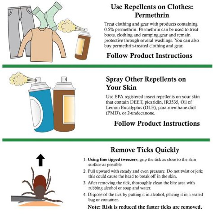 Does vanilla repel ticks?