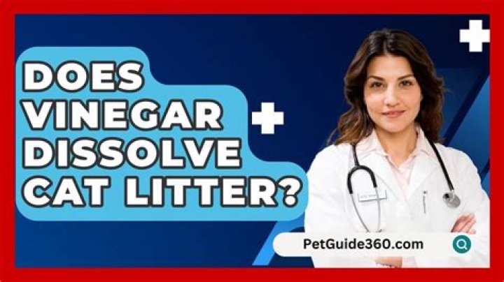 Does vinegar dissolve cat litter?