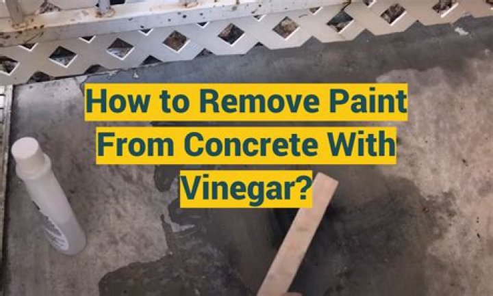 Does vinegar remove mold from concrete?