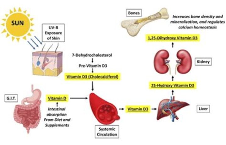 Does vitamin D3 interfere with blood pressure medication?