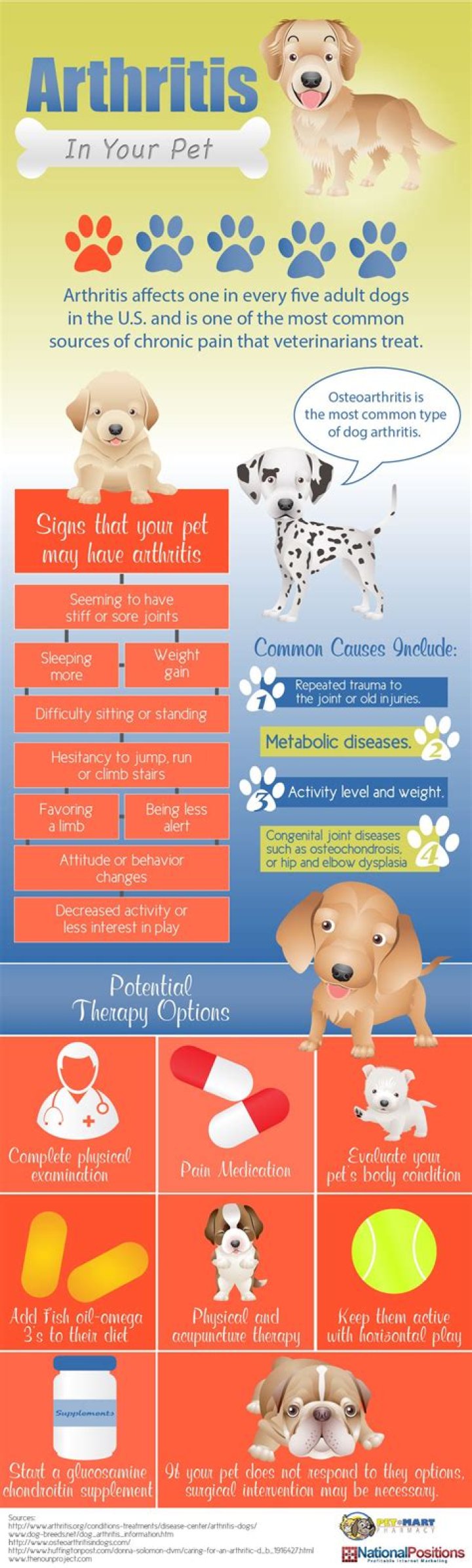 Does weather Affect arthritis in dogs?