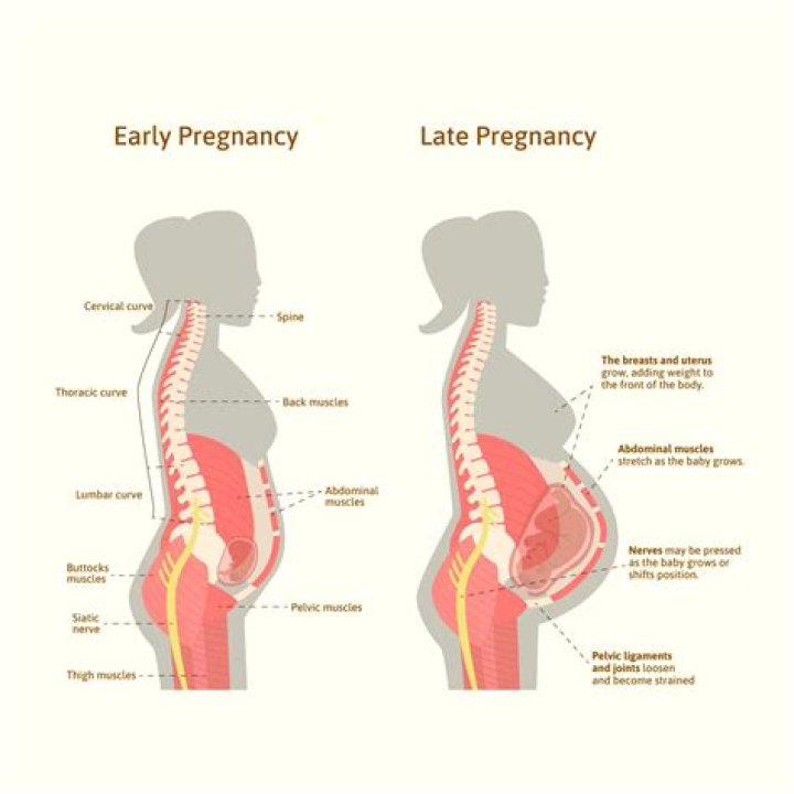 Does your brain go back to normal after pregnancy?