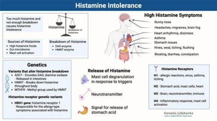 How can I flush histamine out of my body?
