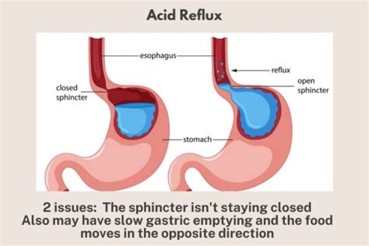 How can you tell if a dog has acid reflux?