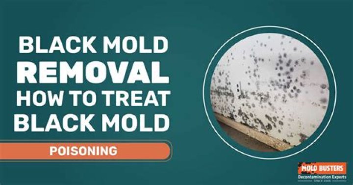 How can you tell if black mold is wood?