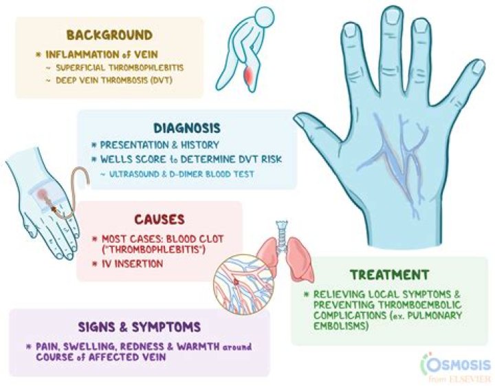 How common is it to not have lateral incisors?