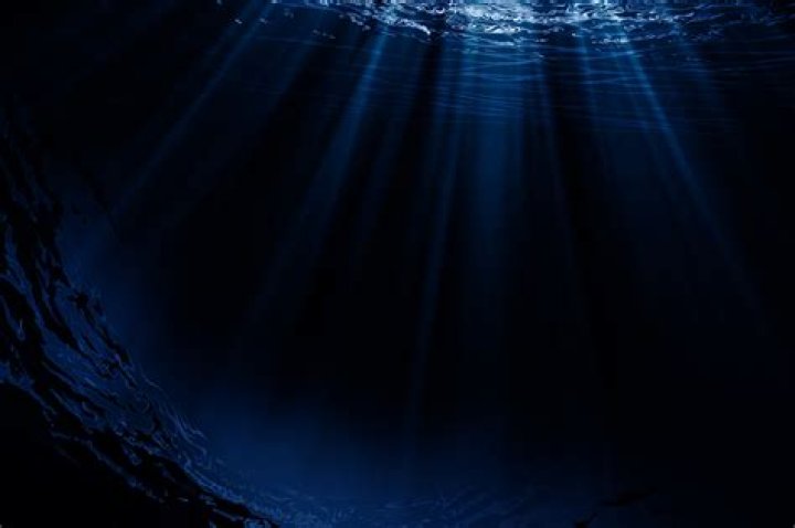 How dark is the bottom of the ocean?