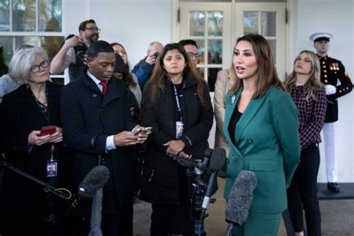 How did Alina get the scar on her hand in the book?