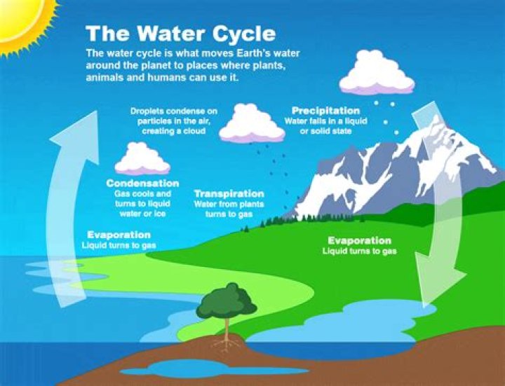 How did Bernard Palissy discover the water cycle?