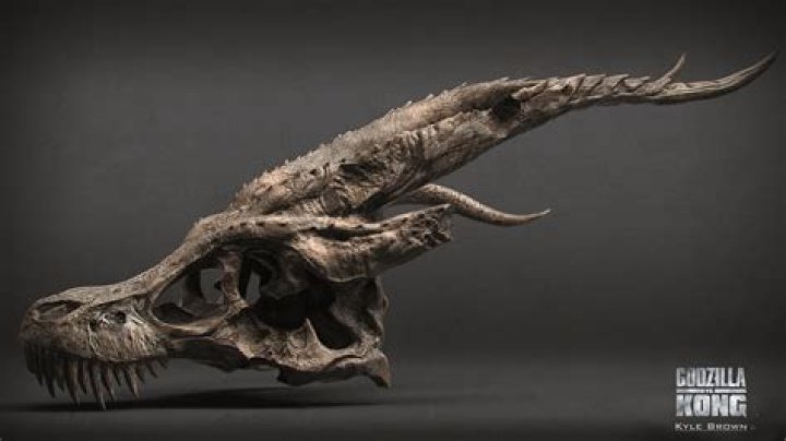 How did they get Ghidorah skull?