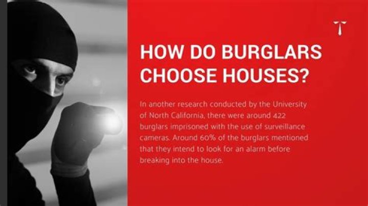 How do burglars choose houses?