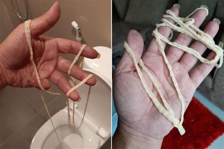 How do humans get tapeworms?
