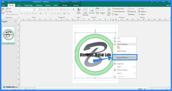 How do I create a logo in Publisher 2016?