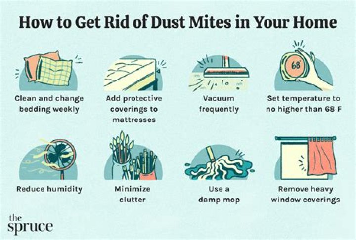 How do I get rid of Aspergillus in my home?