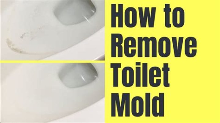 How do I get rid of mold in my toilet?