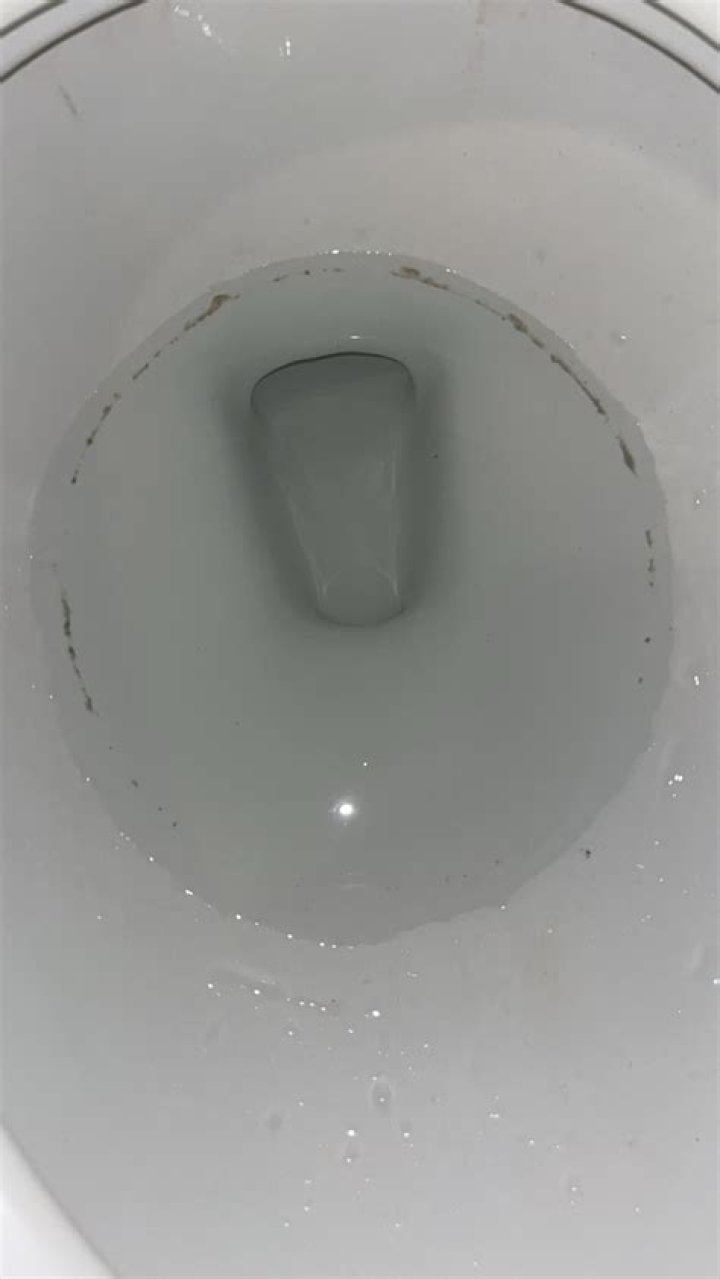 How do I get rid of the GREY ring in my toilet?