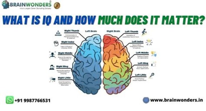 How do I know how much IQ I have?