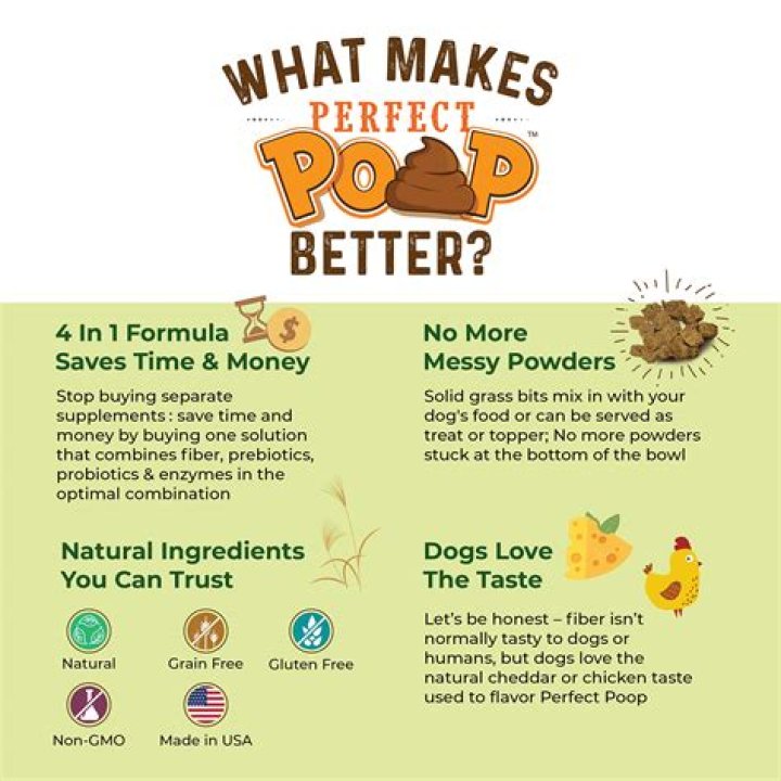 How do I make my dog's poop more solid?