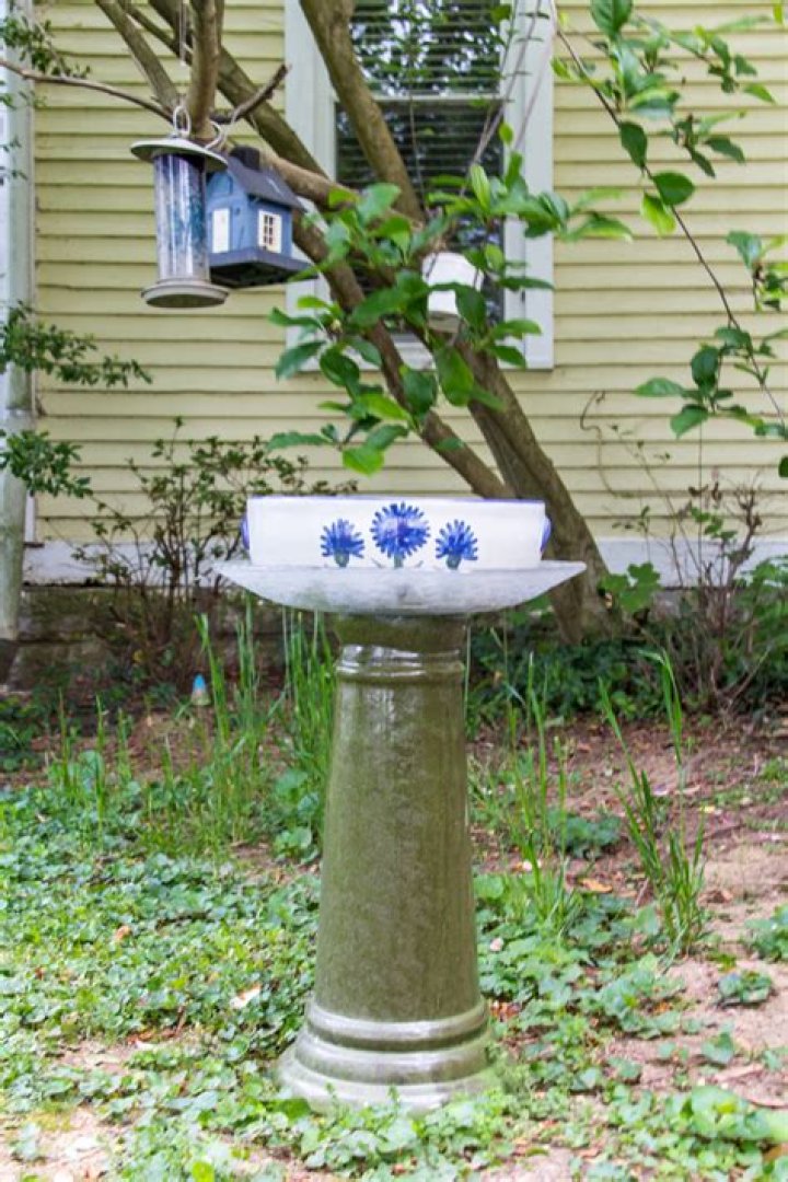 How do I stop my birdbath going green?