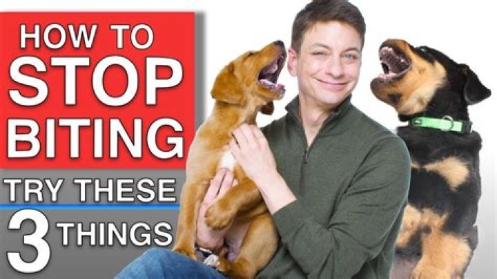 How do I stop my puppy from biting when nothing works?