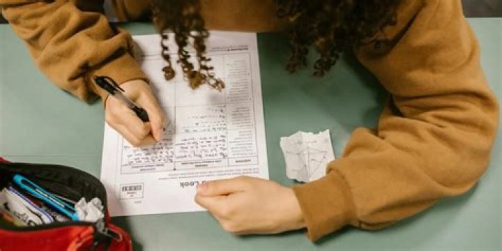 How do schools check for cheating?