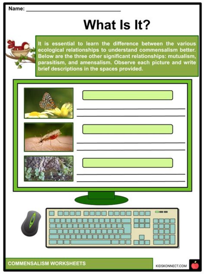How do snakes learn?