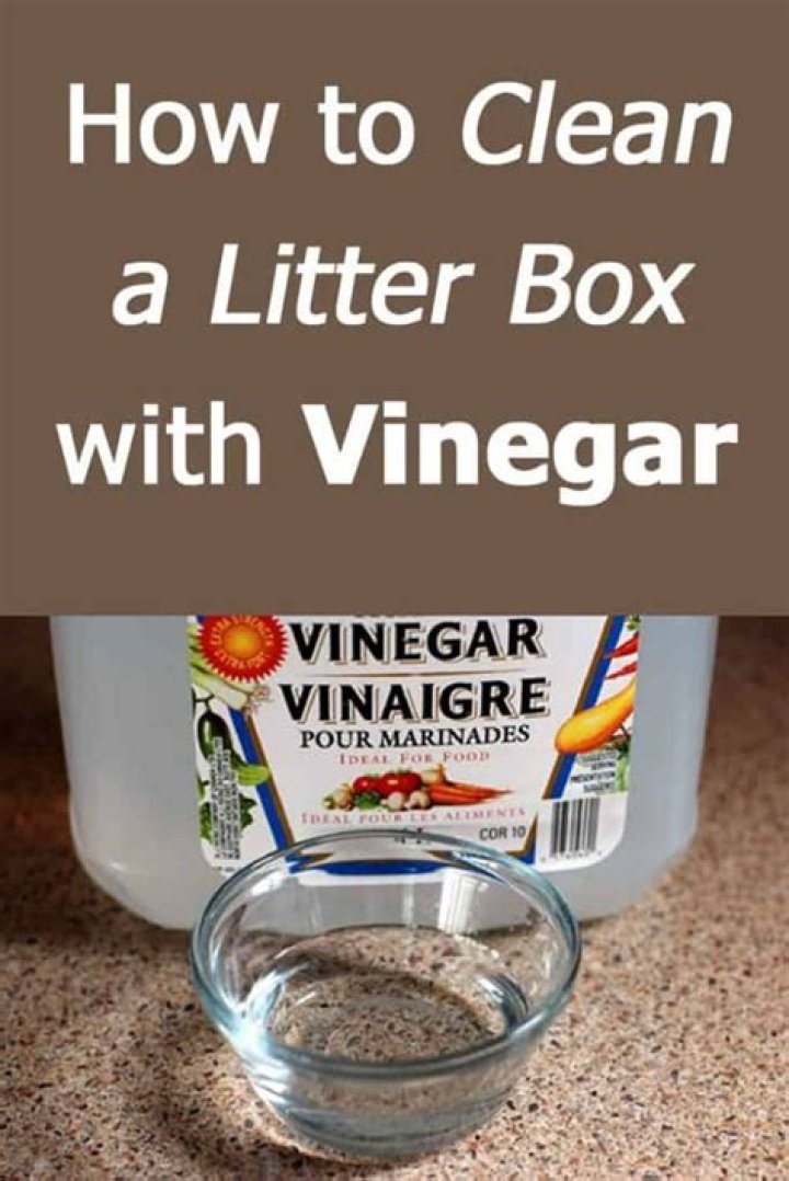 How do you clean a litter box with vinegar?