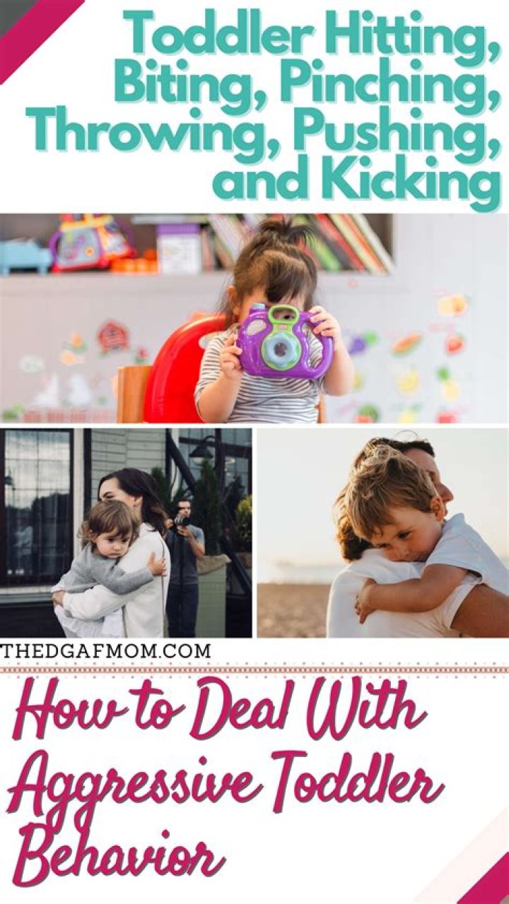 How do you deal with an aggressive toddler?