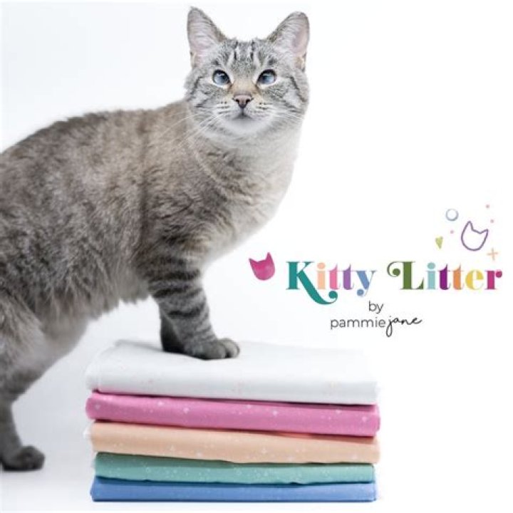 How do you dispose of kitty litter?
