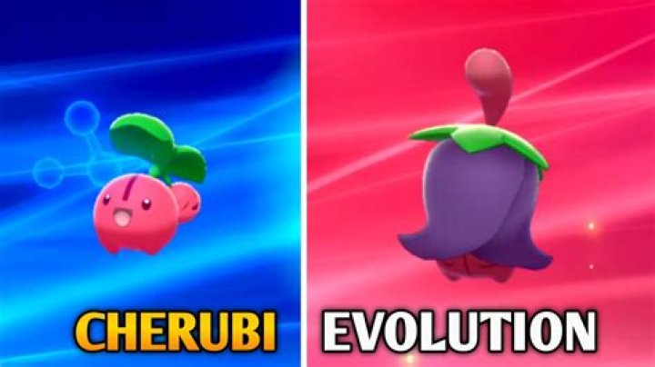 How do you evolve Cherubi?