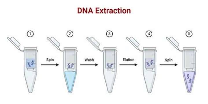 How do you extract tannin?