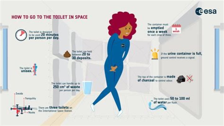 How do you go to the toilet when pregnant?