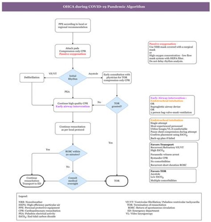How do you help a family member cope during the COVID-19 pandemic?