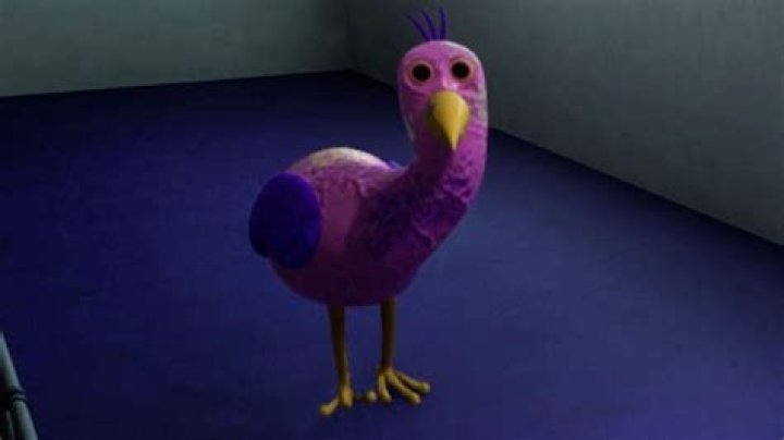 How do you know if a bird is in shock?