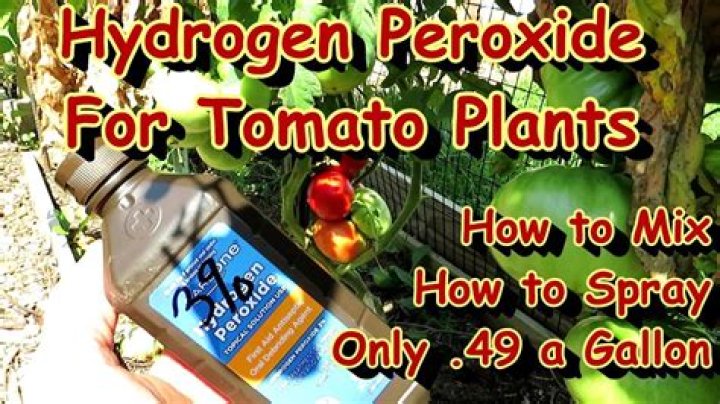 How do you make hydrogen peroxide spray for plants?