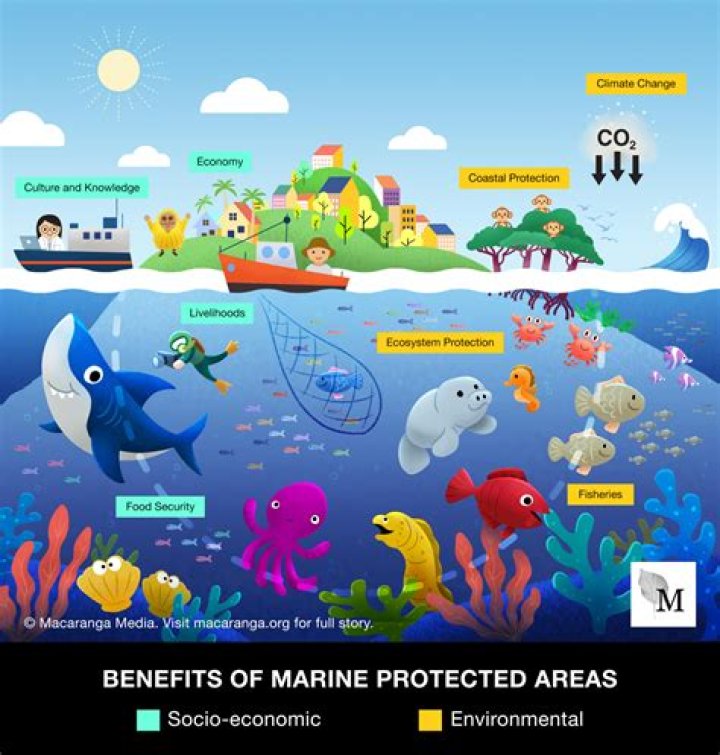 How do you protect water from stucco?