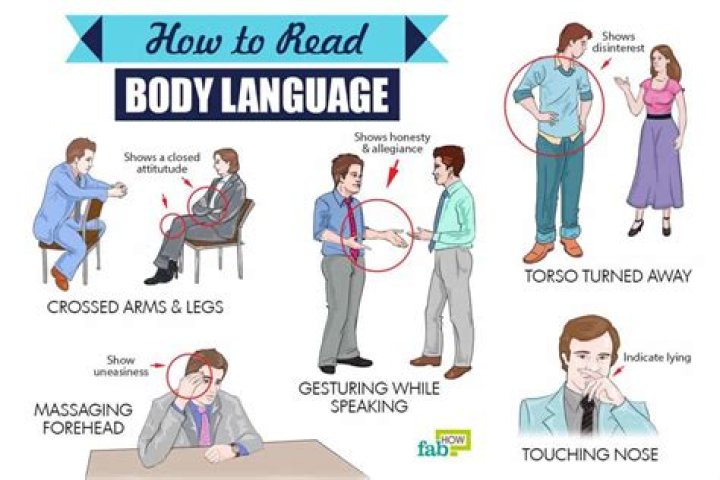 How do you read a deer body language?