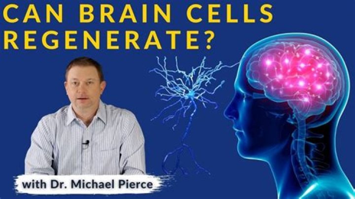 How do you regenerate brain cells naturally?