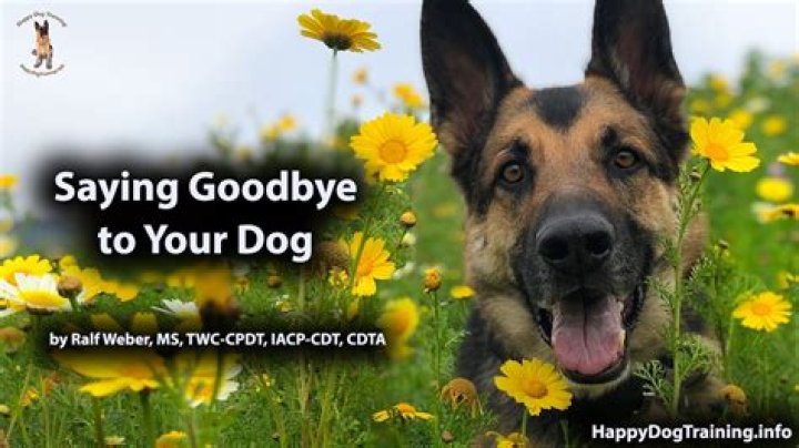 How do you say goodbye respectfully?