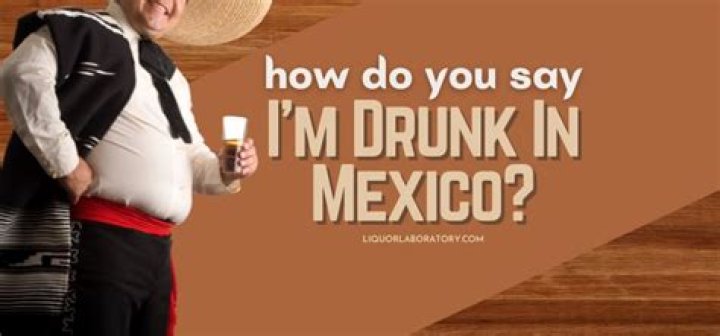 How do you say I'm drunk?