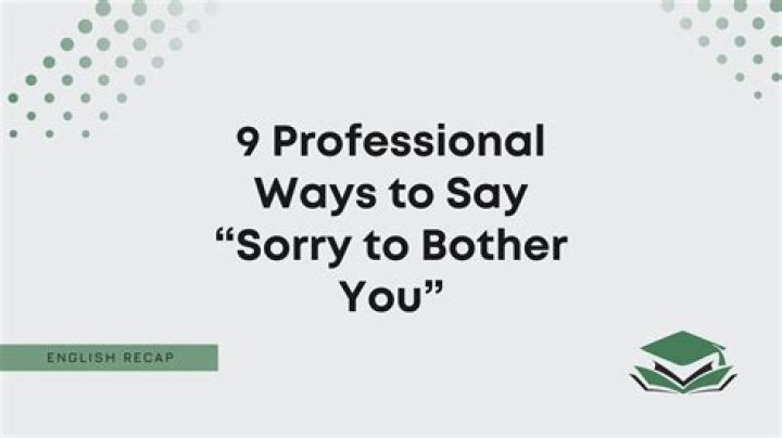 How do you say sorry for bothering you professionally?