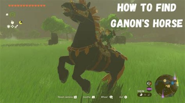 How do you shoot Ganon's eye?
