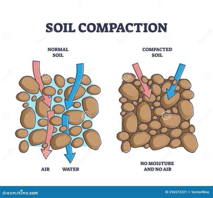 How do you soften compacted soil?