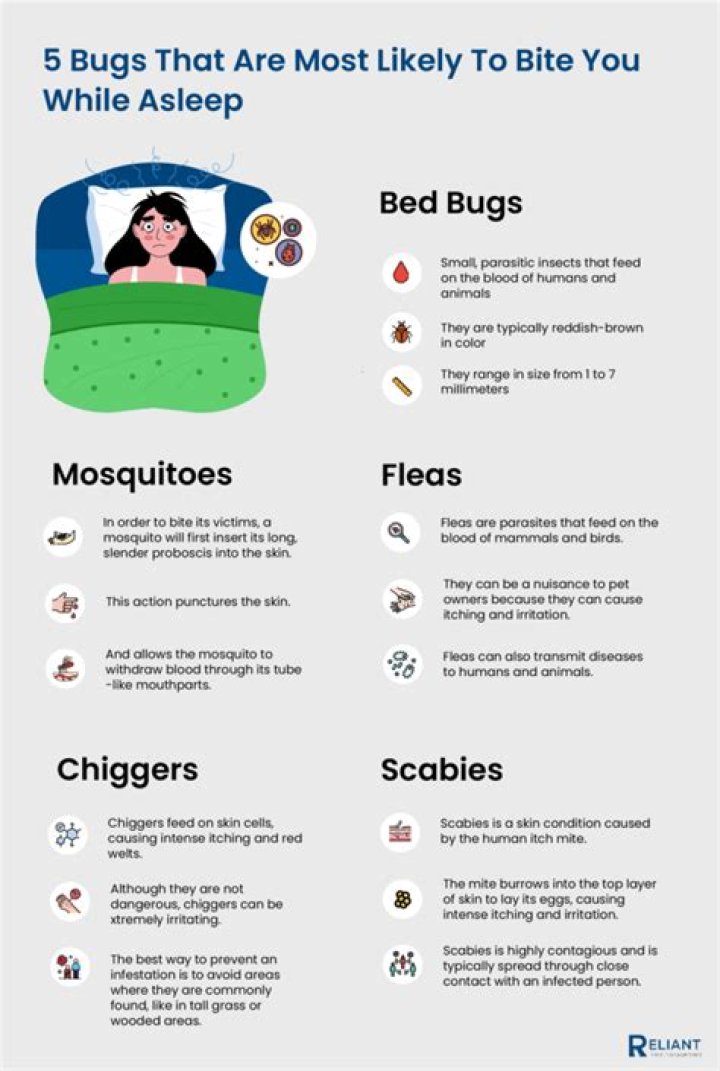 How do you stop getting bit by bugs while sleeping?