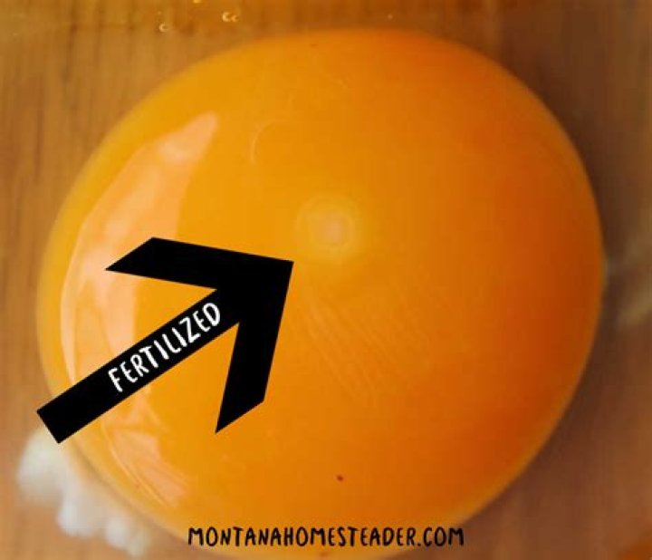 How do you tell if heated floors are working?