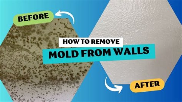 How do you tell if mold is growing behind walls?