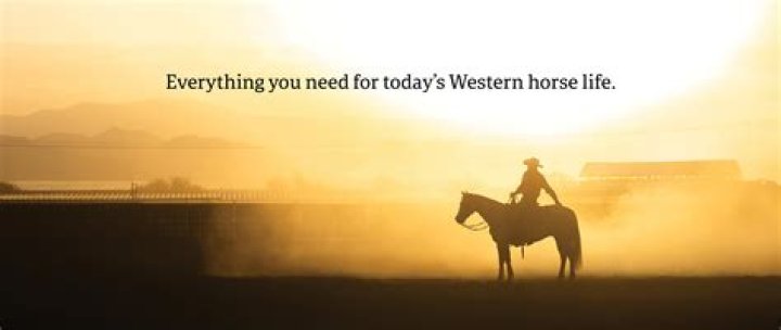 How do you tell your horse you love them?